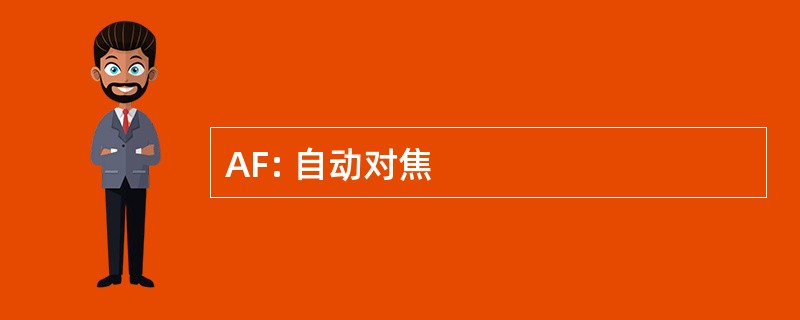 AF: 自动对焦