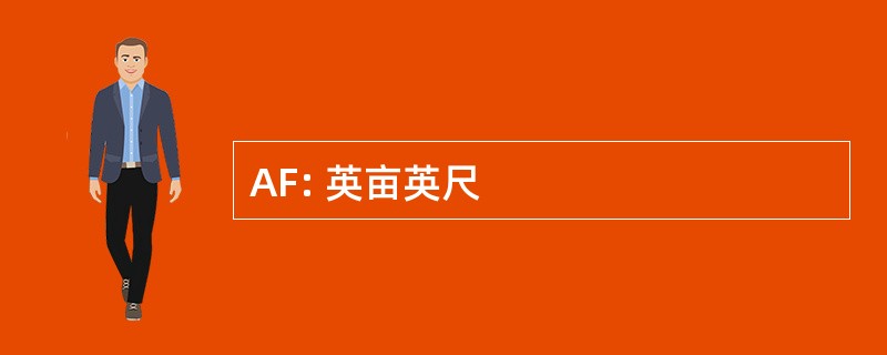 AF: 英亩英尺