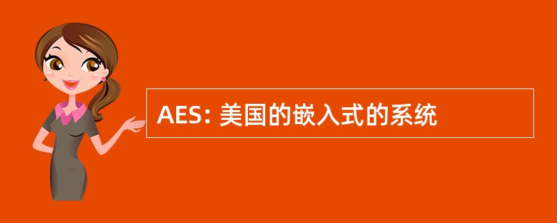 AES: 美国的嵌入式的系统