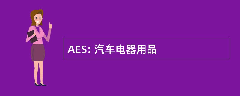 AES: 汽车电器用品