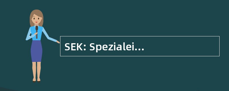 SEK: Spezialeinsatzkommando