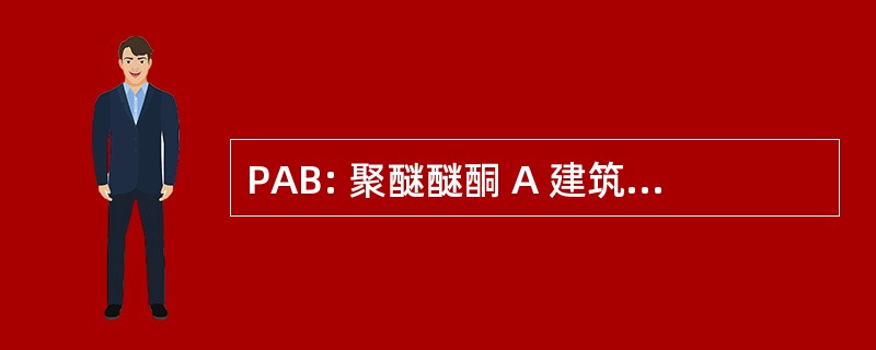 PAB: 聚醚醚酮 A 建筑物条例执行处