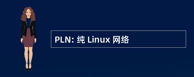 PLN: 纯 Linux 网络