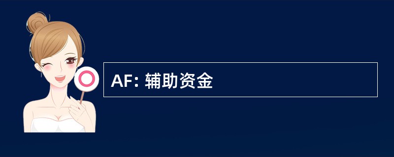 AF: 辅助资金