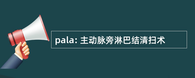 pala: 主动脉旁淋巴结清扫术