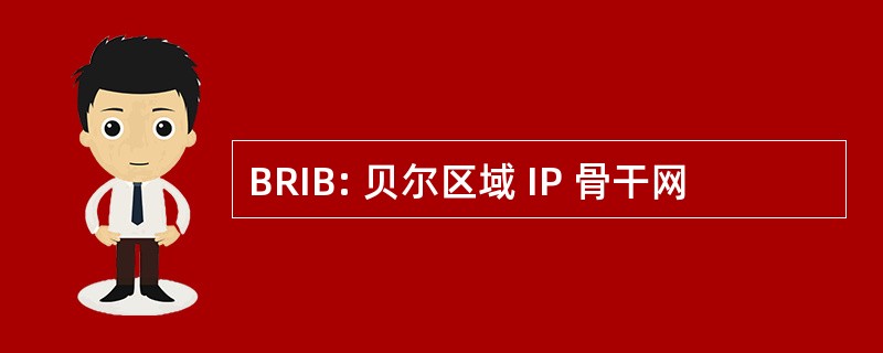 BRIB: 贝尔区域 IP 骨干网