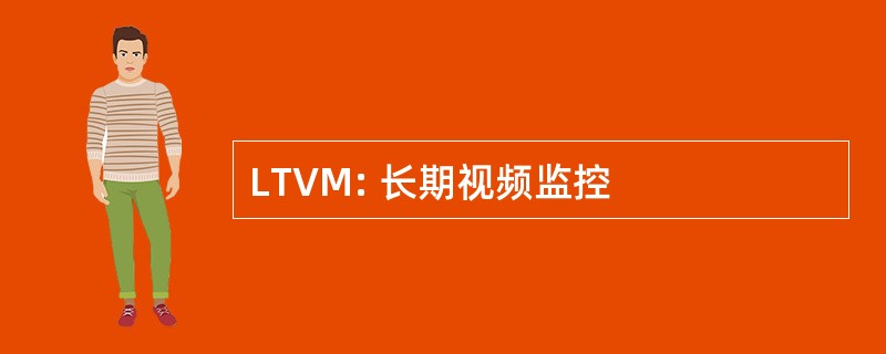 LTVM: 长期视频监控