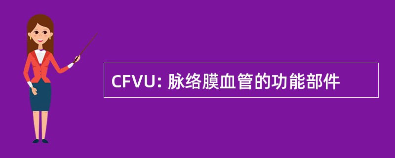 CFVU: 脉络膜血管的功能部件