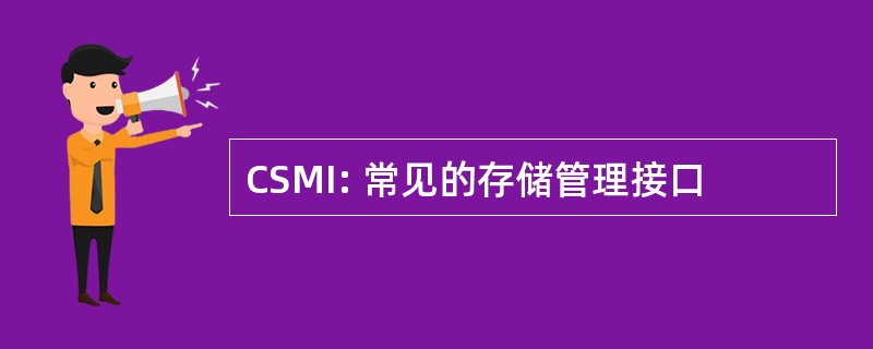 CSMI: 常见的存储管理接口