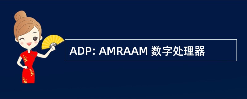 ADP: AMRAAM 数字处理器