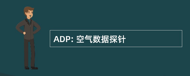 ADP: 空气数据探针