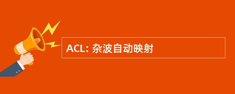 ACL: 杂波自动映射