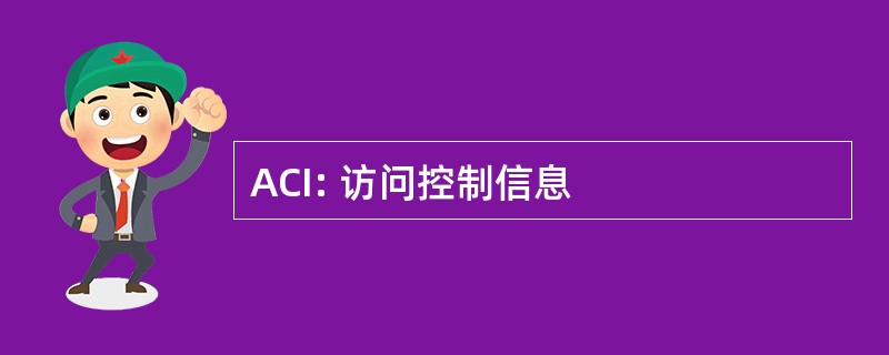 ACI: 访问控制信息