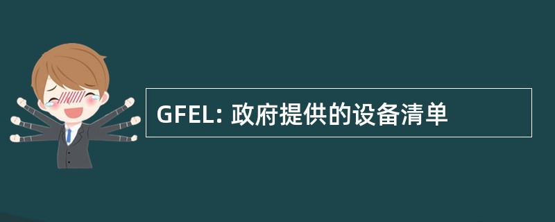 GFEL: 政府提供的设备清单