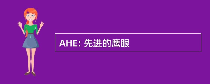 AHE: 先进的鹰眼