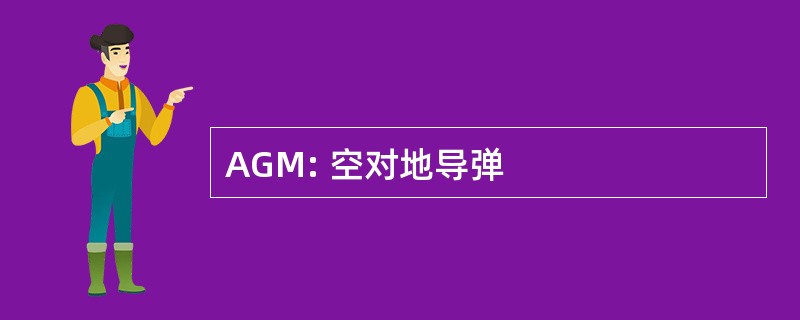 AGM: 空对地导弹