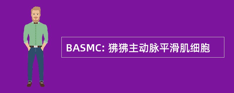 BASMC: 狒狒主动脉平滑肌细胞