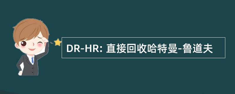 DR-HR: 直接回收哈特曼-鲁道夫