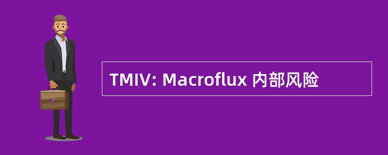 TMIV: Macroflux 内部风险