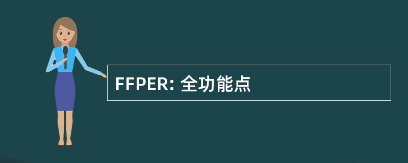 FFPER: 全功能点