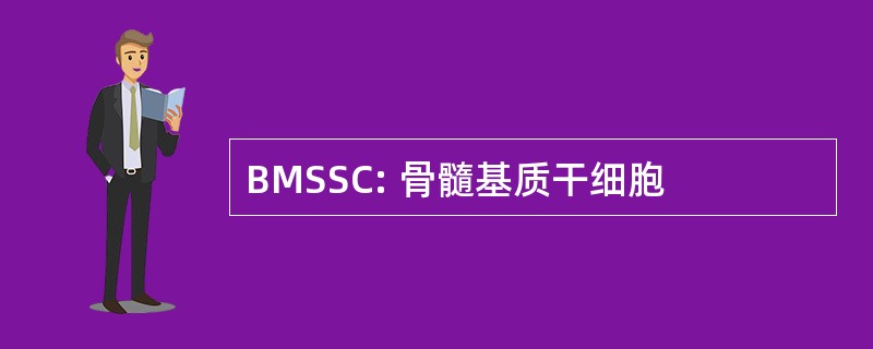 BMSSC: 骨髓基质干细胞