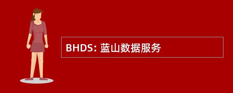 BHDS: 蓝山数据服务