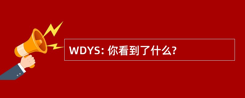 WDYS: 你看到了什么?