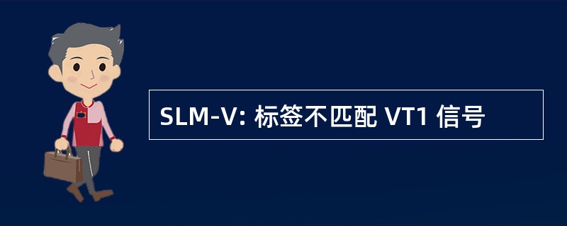 SLM-V: 标签不匹配 VT1 信号