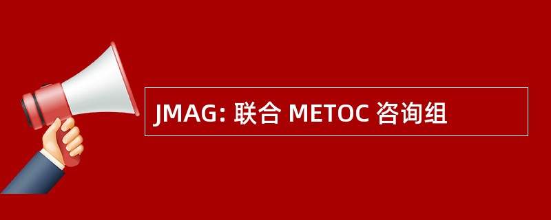 JMAG: 联合 METOC 咨询组