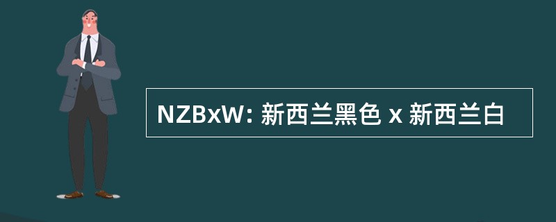 NZBxW: 新西兰黑色 x 新西兰白