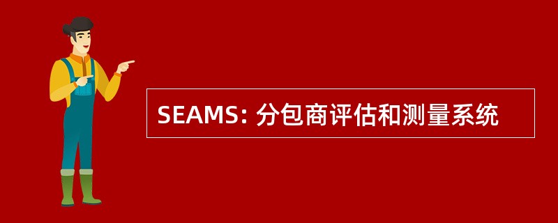 SEAMS: 分包商评估和测量系统