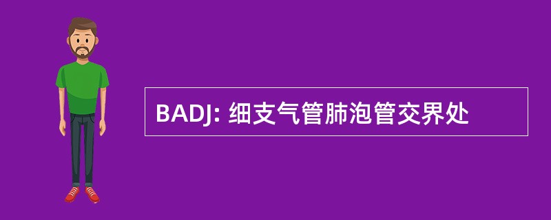 BADJ: 细支气管肺泡管交界处