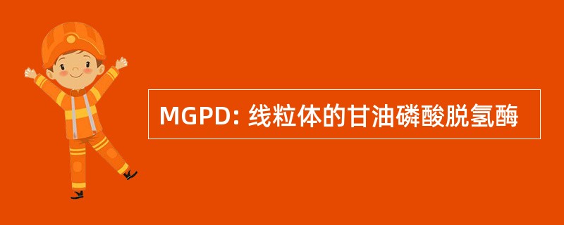 MGPD: 线粒体的甘油磷酸脱氢酶