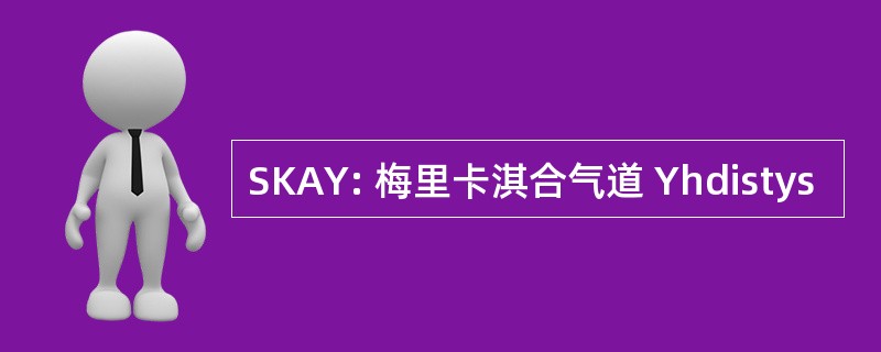 SKAY: 梅里卡淇合气道 Yhdistys