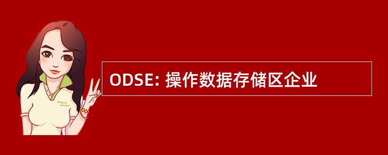 ODSE: 操作数据存储区企业