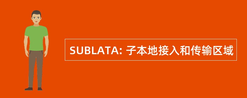 SUBLATA: 子本地接入和传输区域