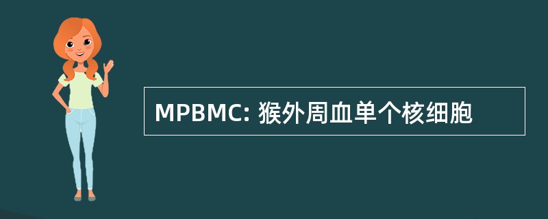 MPBMC: 猴外周血单个核细胞