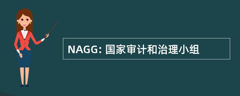 NAGG: 国家审计和治理小组