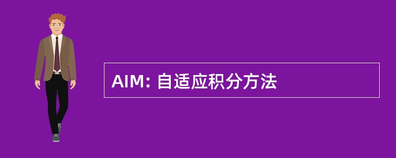 AIM: 自适应积分方法