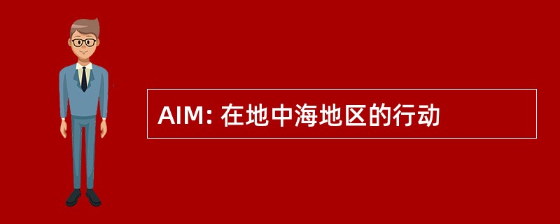 AIM: 在地中海地区的行动