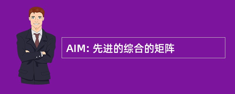 AIM: 先进的综合的矩阵