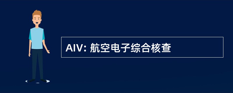 AIV: 航空电子综合核查