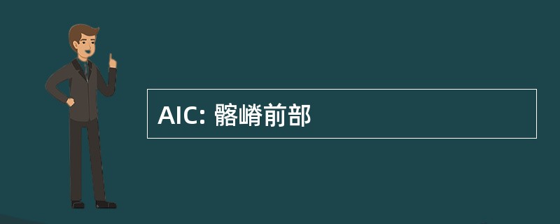 AIC: 髂嵴前部