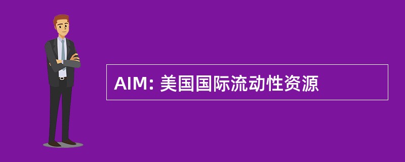 AIM: 美国国际流动性资源