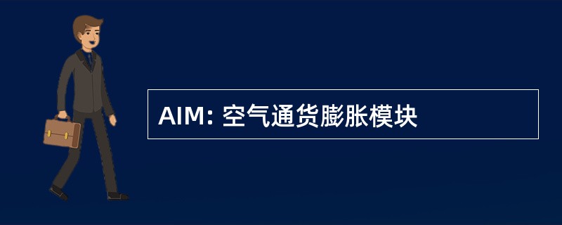 AIM: 空气通货膨胀模块