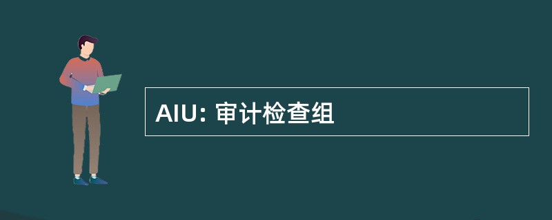 AIU: 审计检查组