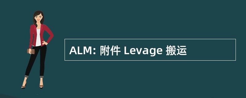 ALM: 附件 Levage 搬运