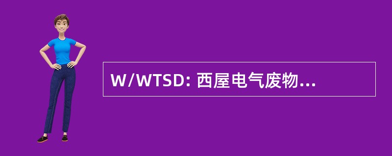 W/WTSD: 西屋电气废物技术服务司