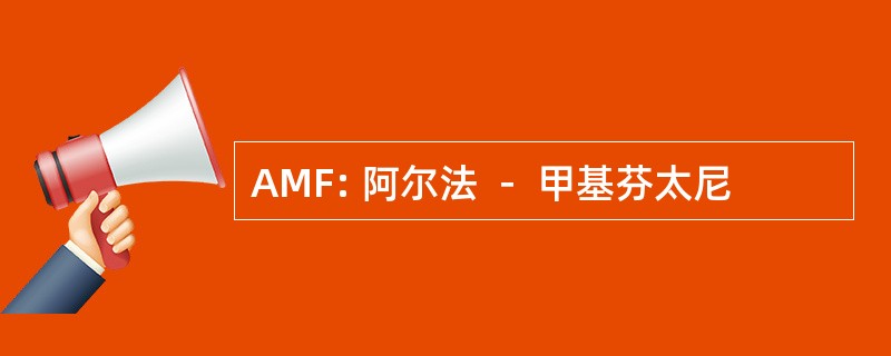 AMF: 阿尔法 － 甲基芬太尼