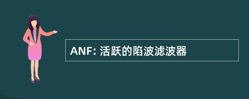 ANF: 活跃的陷波滤波器